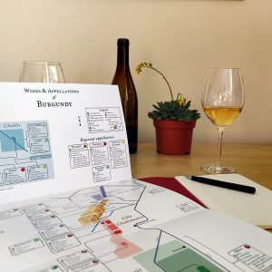 Open wine map book showing Burgundy appellations, with a glass of white wine, a bottle, and a potted succulent on a table.