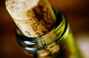 Close-up of a wine cork in the neck of a wine bottle.