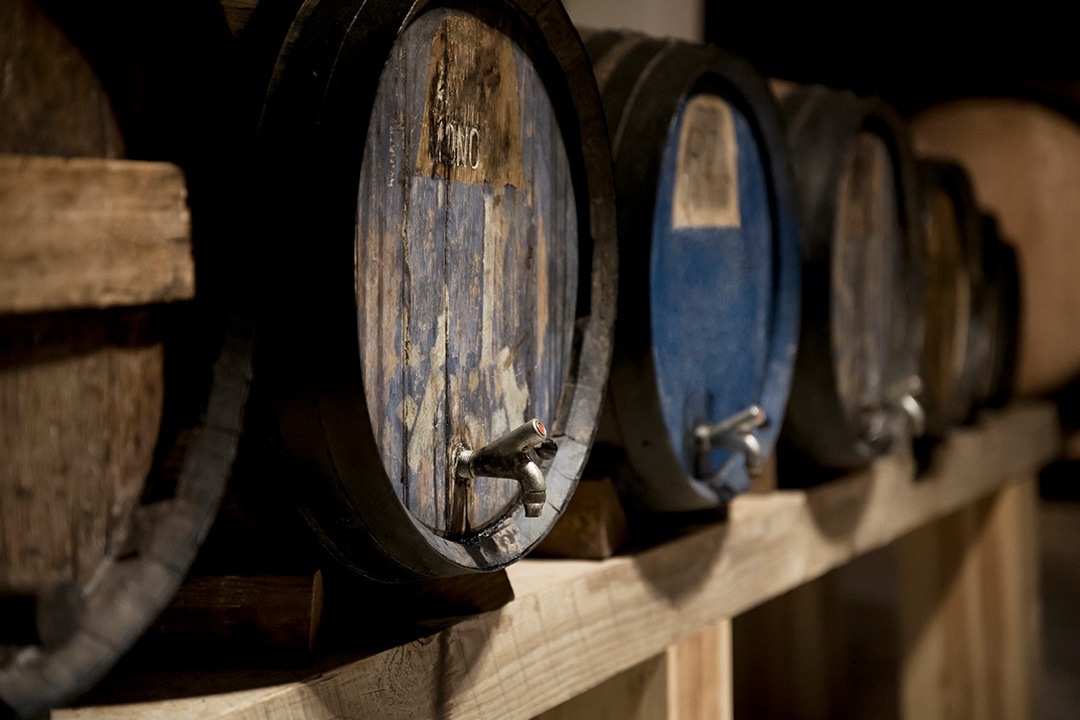 A row of wine barrels.