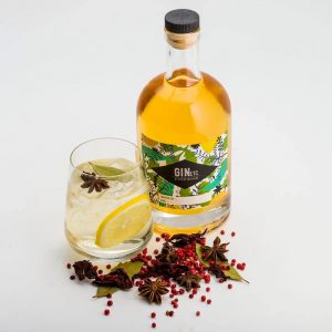 Bottle of GinEtc with a cocktail glass garnished with lemon slice and spices, surrounded by star anise and red peppercorns.