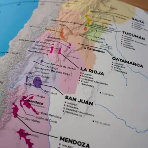 Close-up of Argentina's wine regions map, highlighting detailed areas and grape varieties.