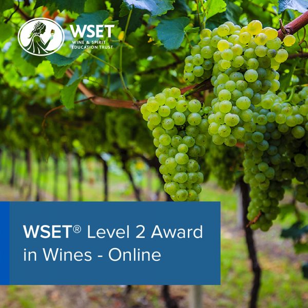 A row of grape trees in the background with a blue title box in the bottom left corner saying "WSET Level 2 Award in Wines - Online".