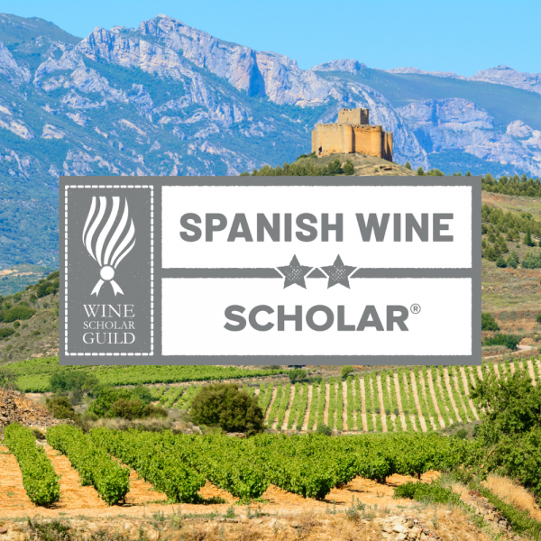 Spanish Vineyard background with a grey and white title box saying " Wine Scholar Guild. Spanish Wine Scholar".