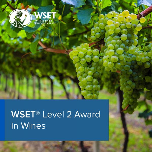 A row of grape trees in the background with a blue title box in the bottom left corner saying "WSET Level 2 Award in Wines".