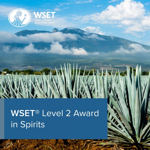 A fields of plants with a mountain in the background with a blue title box in the bottom left corner saying "WSET Level 2 Award in Spirits".