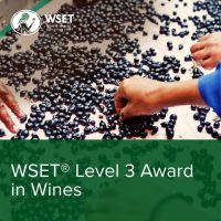 WSET_Wines_Level3_1600x1600-768x768-768x768